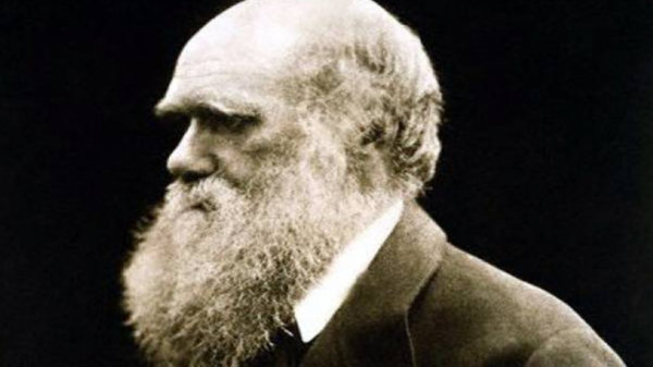 charles-darwin-and-the-tree-of-life-episode-4