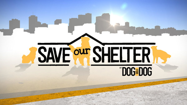 Save our Shelter - S02E15 - PAWS4YOU