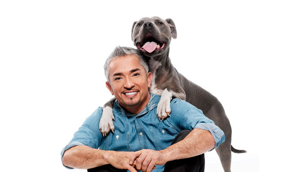 Cesar 911/ Cesar To The Rescue - Ep. 