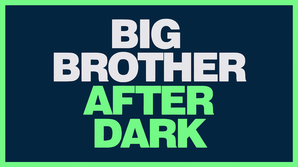 Big Brother After Dark - S20E26 - Day 34