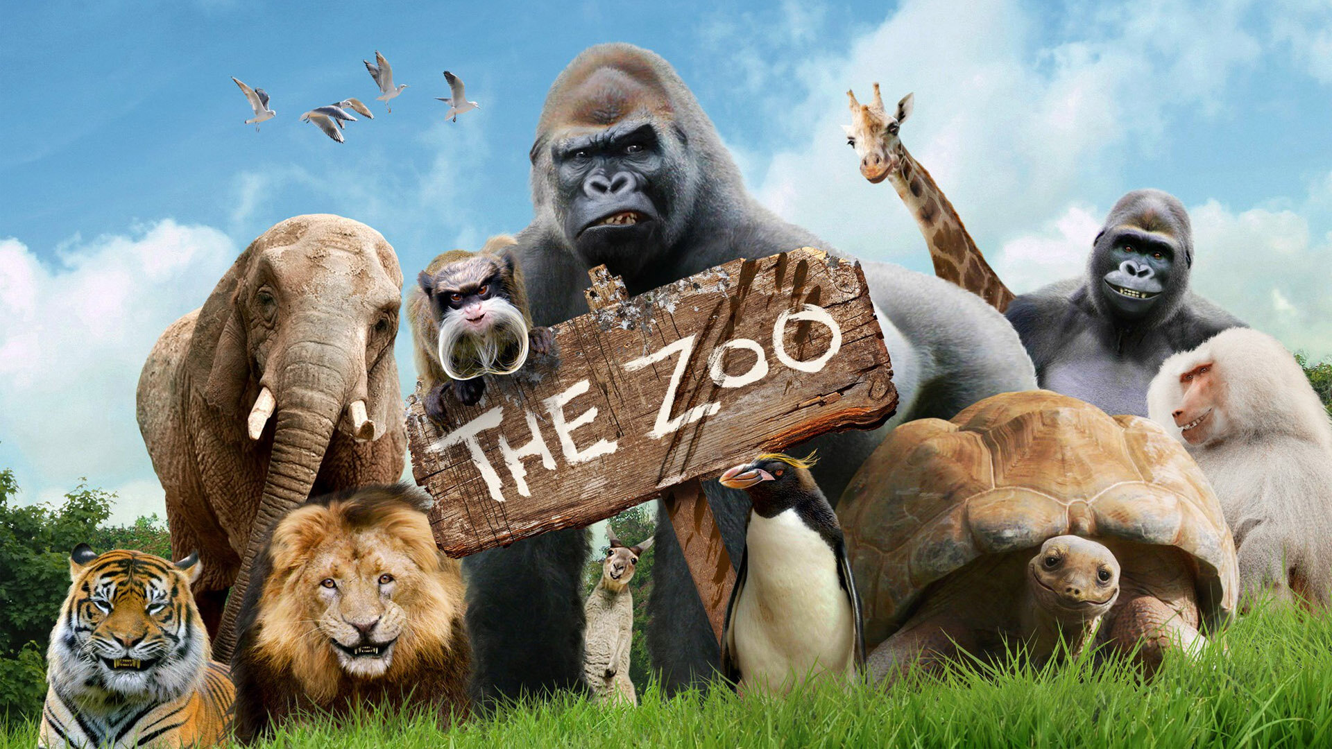 the-zoo-2017-cbbc-tv-series-2017