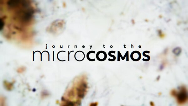 Journey to the Microcosmos - S2020E35