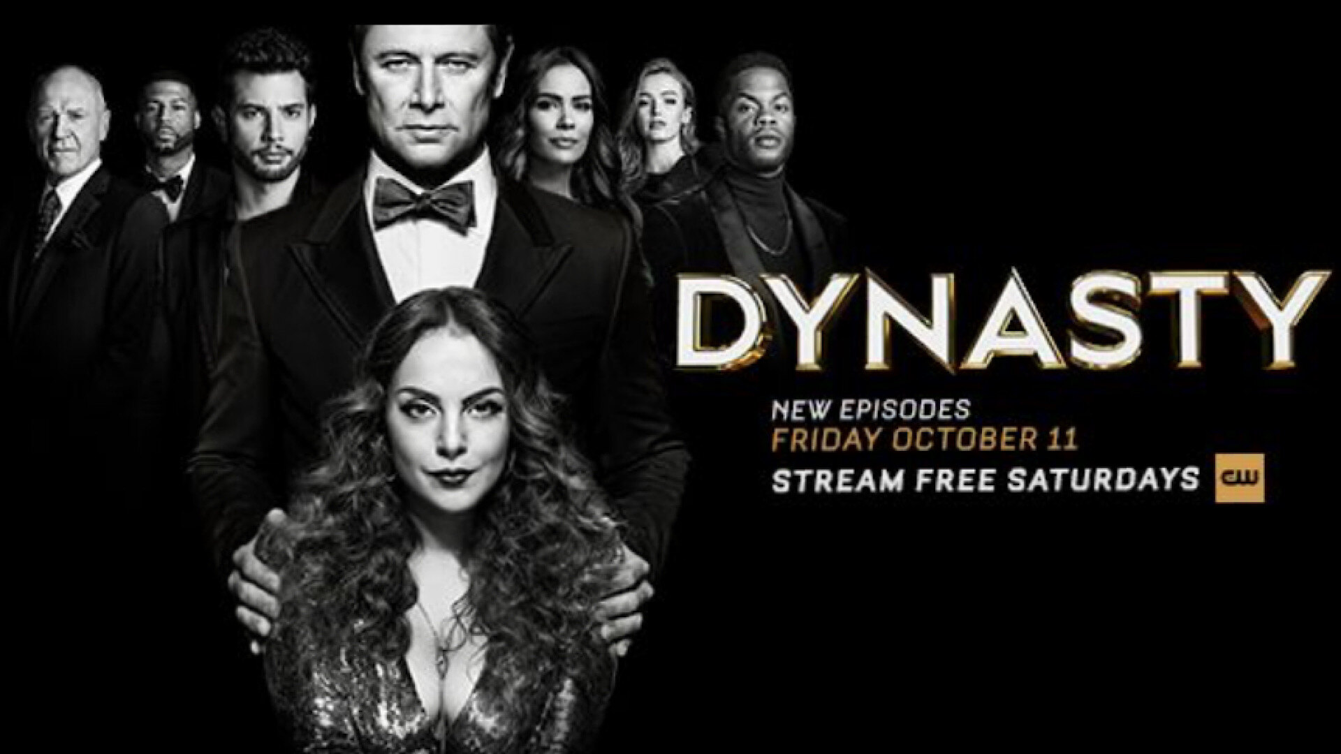 Dynasty (TV Series 2017 - 2022)