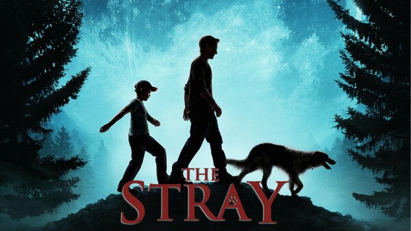 The Stray - Ep. 