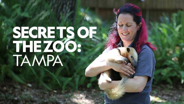 Secrets of the Zoo: Tampa - S01E01 - Stingray Stunner