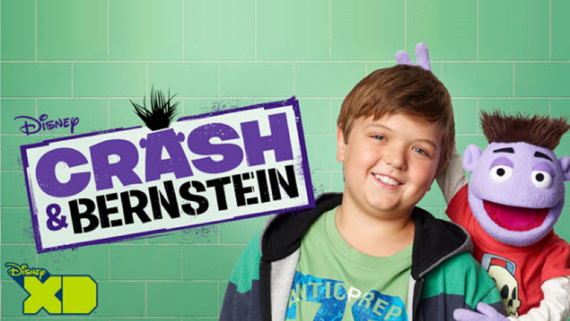 Crash & Bernstein (TV Series 2012 2014)