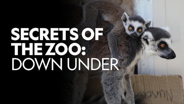 Secrets of the Zoo: Down Under - S01E01 - Project Platypus