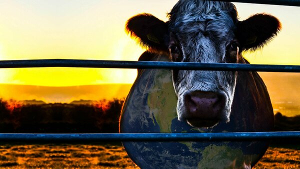 Cowspiracy: The Sustainability Secret - Ep. 