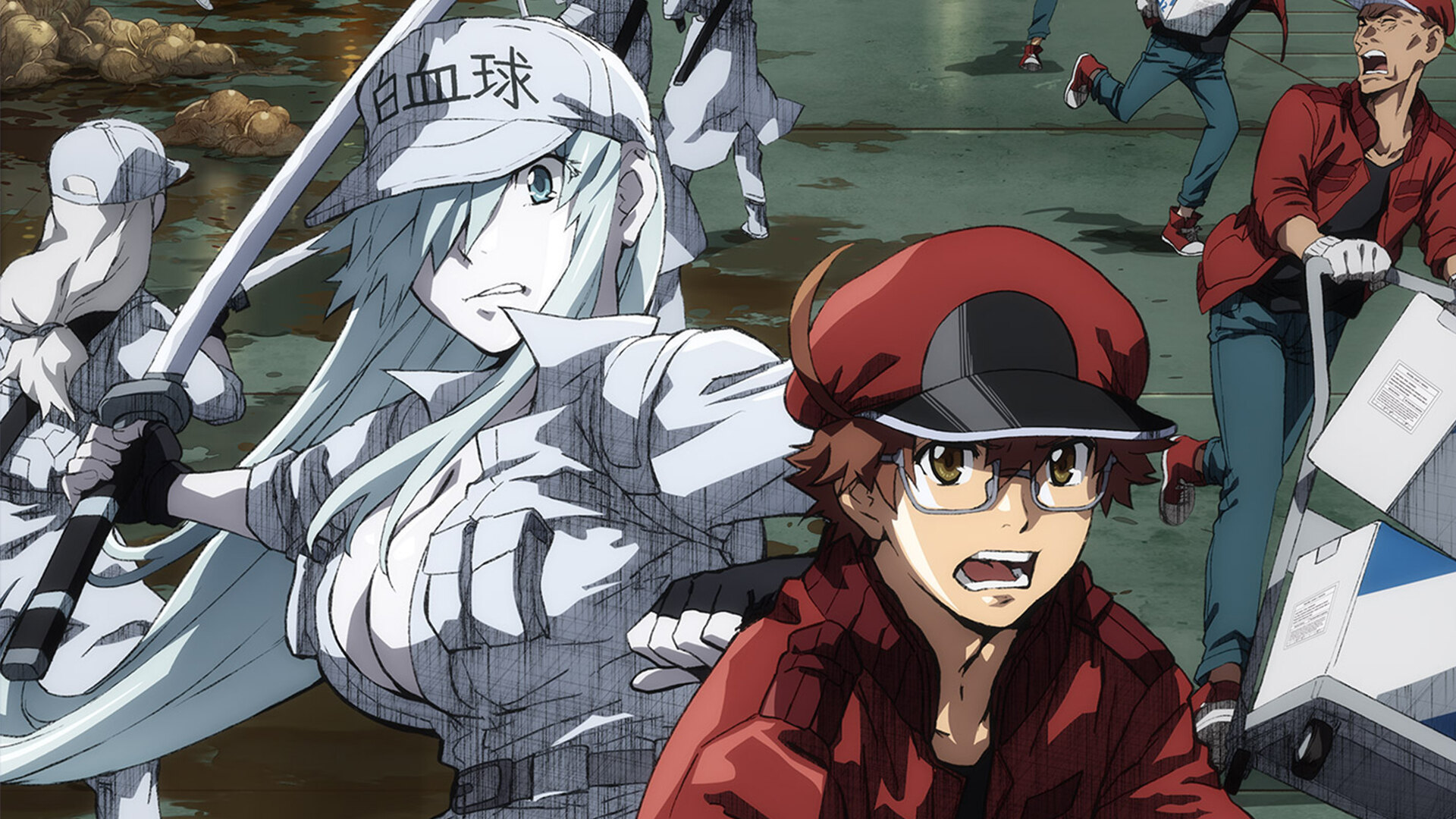 Hataraku Saibou Black Anime Tv 21