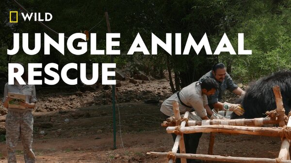 Jungle Animal Rescue - S01E01 - Homecoming