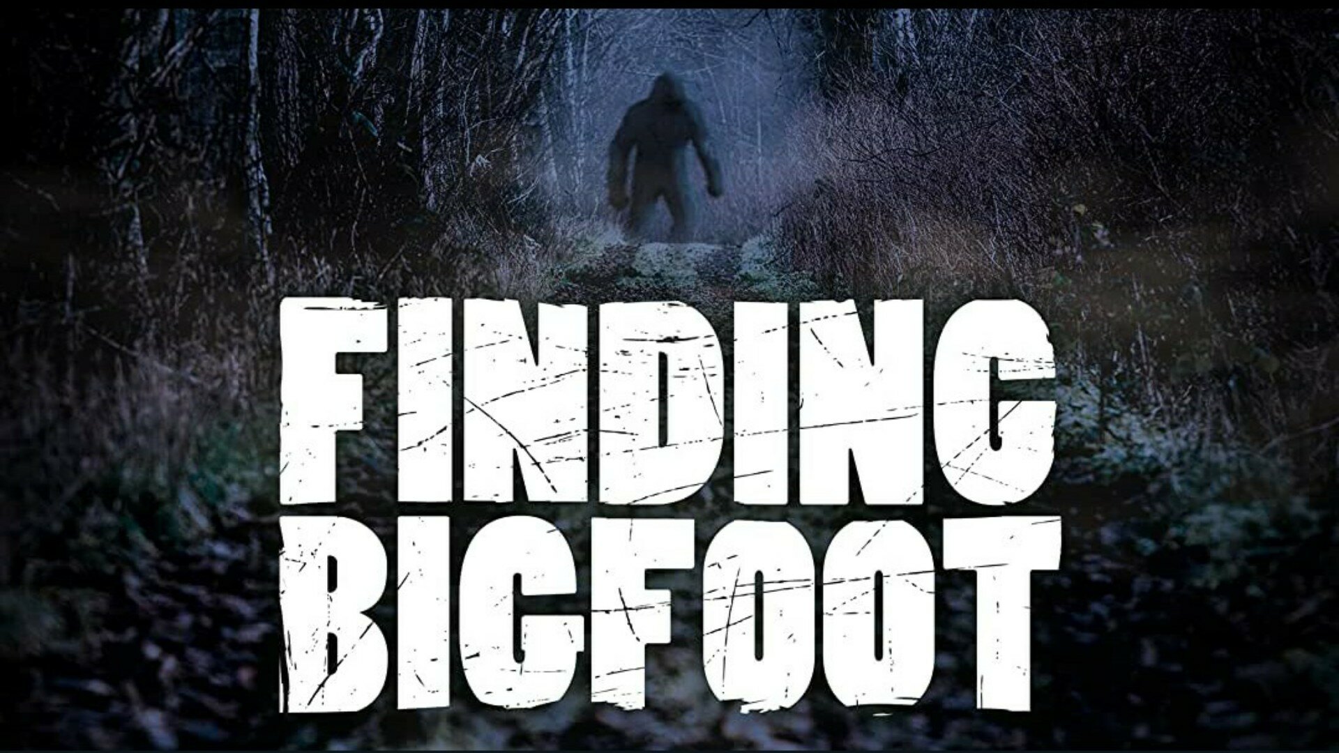 finding bigfoot season 2 torrent