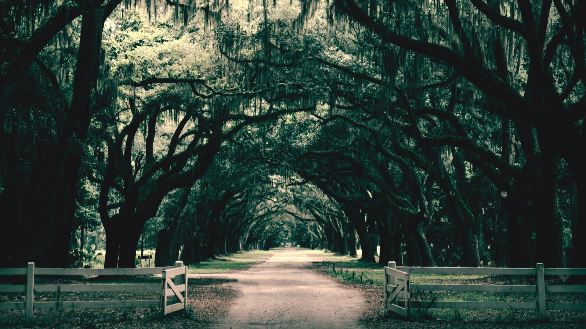 What Makes A Story Southern Gothic