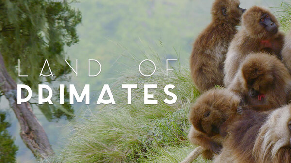 Land of Primates - S01E05 - The Geladas of Ethiopia