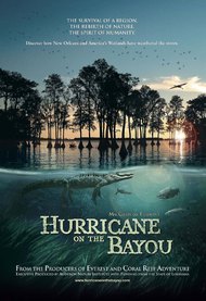 Hurricane on the Bayou