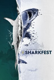 SharkFest