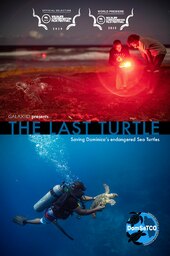 The Last Turtle
