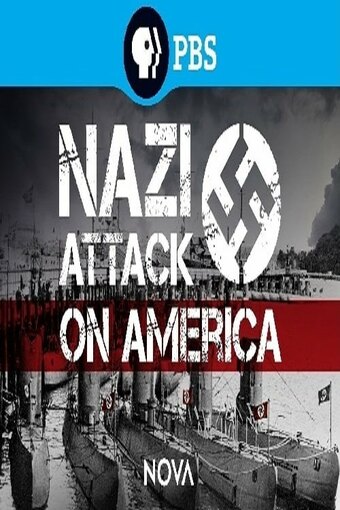 Nazi Attack on America