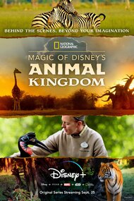 Magic of Disney’s Animal Kingdom