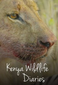 Kenya Wildlife Diaries