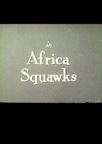 Africa Squawks