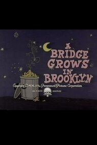 A Bridge Grows in Brooklyn