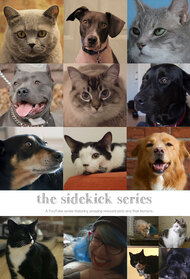 The Sidekick Series
