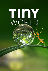 Tiny World