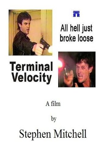 Terminal Velocity