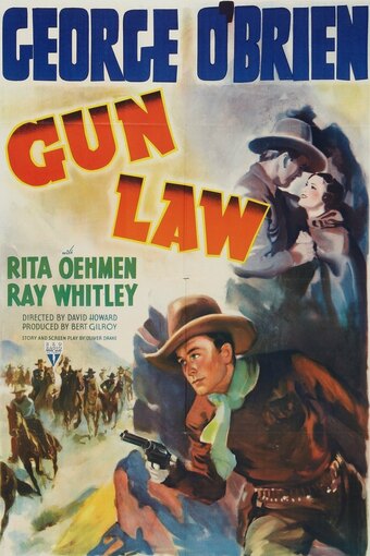 Gun Law
