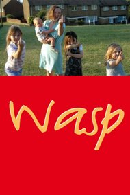 Wasp