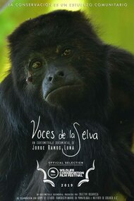 Rainforest Voices