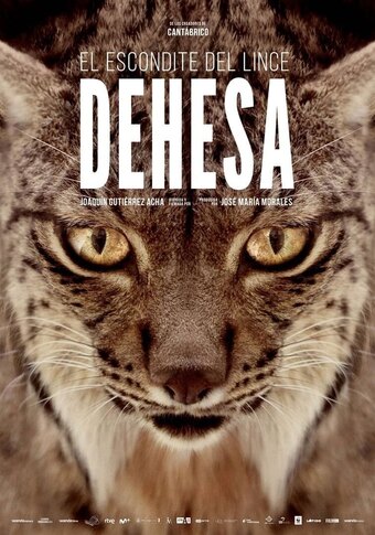 Dehesa: The Forest of the Iberian Lynx