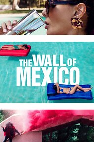 Мексиканская стена