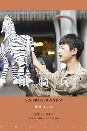A Zebra-Riding Boy