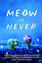 Meow or Never