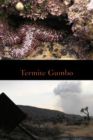 Termite Gumbo