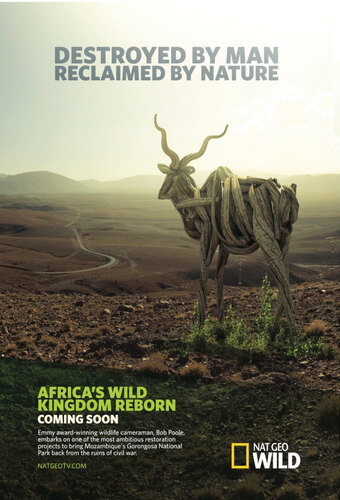 Africa's Wild Kingdom Reborn