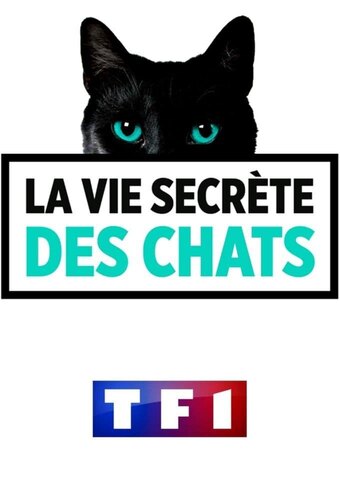 The Secret Life of Cats (FR)