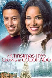 A Christmas Tree Grows in Colorado