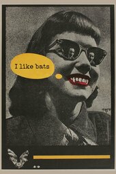 I Like Bats