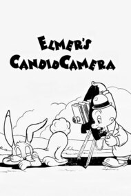 Скрытая камера Элмера