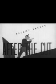 Flight Safety: After the Cut