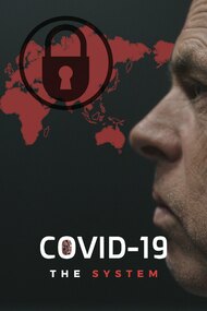 COVID-19: The System