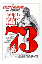 Double Agent 73