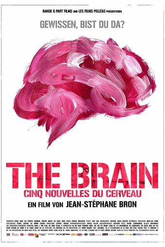 The Brain