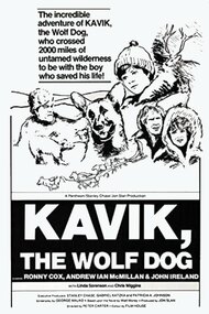 The Courage of Kavik, the Wolf Dog