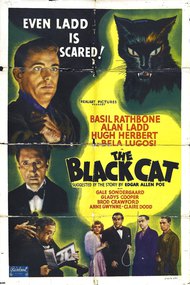 The Black Cat