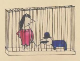 Human Zoo