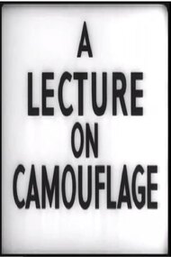 A Lecture on Camouflage
