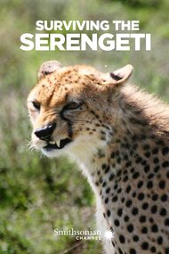 Surviving the Serengeti